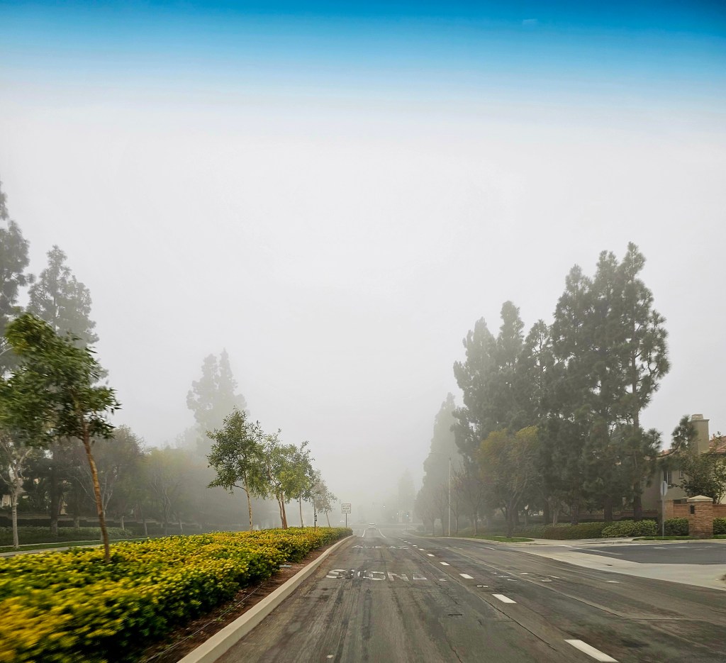 A New Year of&nbsp;Uncertainty